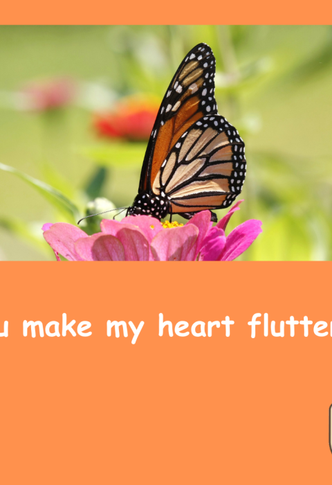 Graphic of an orange Valentine’s Day card with an image of a monarch butterfly perched on a flower. Text below that reads “you make my heart flutter!” A space for “to and from.” Graphic of the U.S. Fish and Wildlife Service logo on the bottom right corner. 