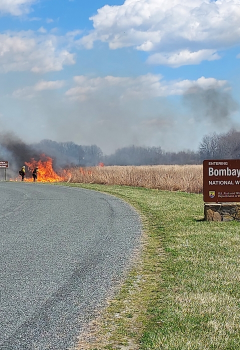 USFWS Prescribed fire specialist conduct a burn on Bombay Hook NWR