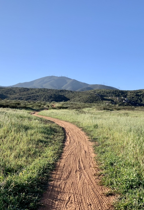 Dirt trail surrounded on each side by short grasses with hills and a mountain in the background. 