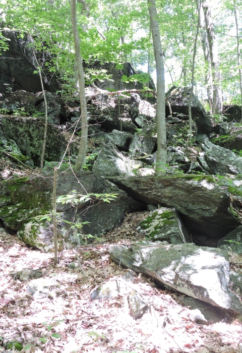 A natural formation of large, weathered rocks sits on a hill in the forest. 