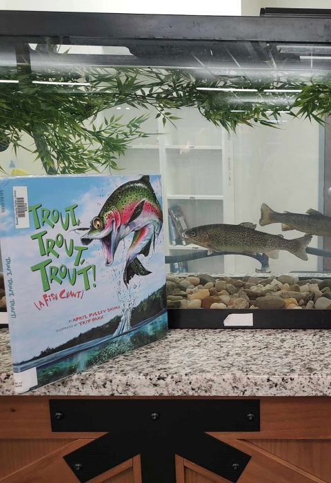 Books placed in front of fish tank