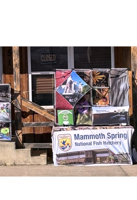 A display with photos of Mammoth Spring National Fish Hatchery.