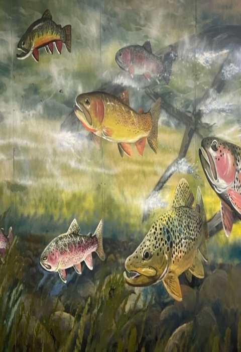 Norfork National Fish Hatchery Mural