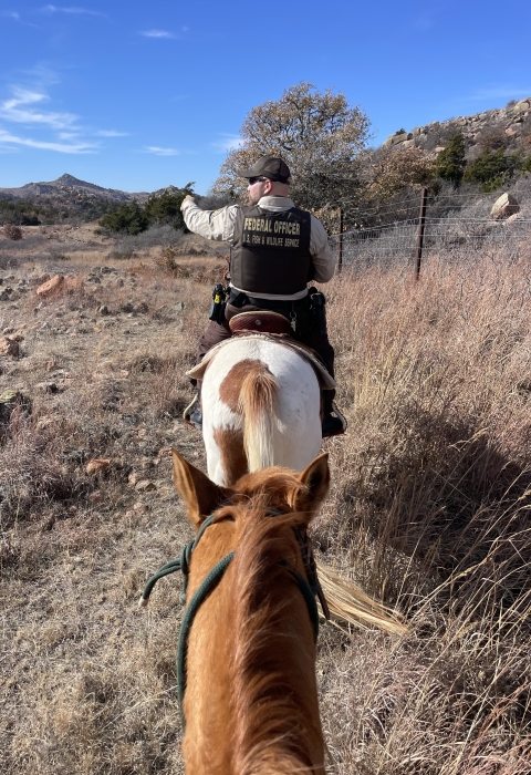 a law enforcement office on horseback ahead leads a horse with the photographer