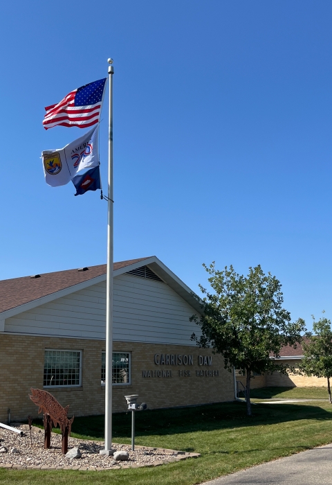 3 flags on flagpole with US flag atop USFWS ones