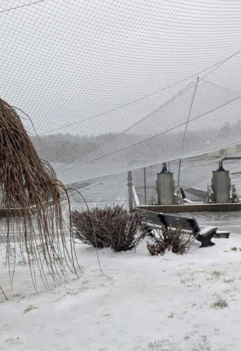 Ice weighing down bird net
