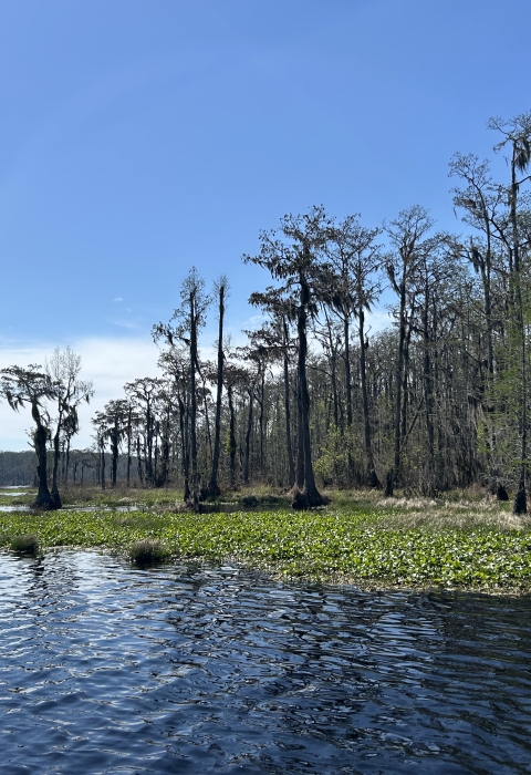 Banks Lake NWR