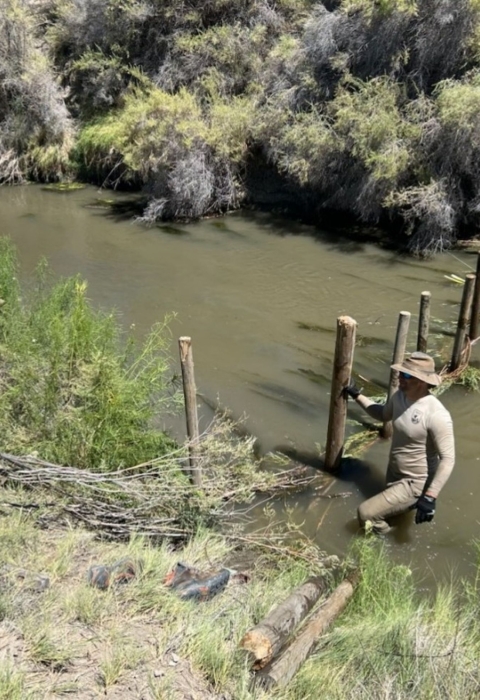 Three YCC staff building a weir at Stillwater NWR across a stream with flowing water waistline high. 