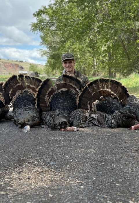 Image of adult man smiling behind vertical line of illegally killed turkeys on ground with sky and hills in background