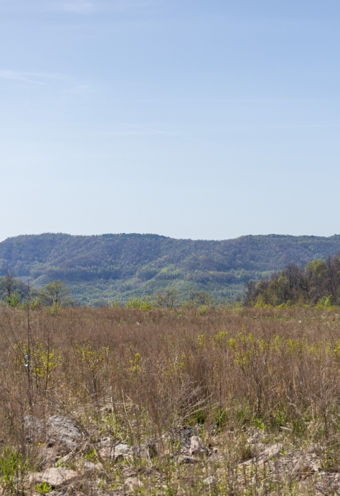 a landscape view of a grass field with mountains in the background under a clear blue sky