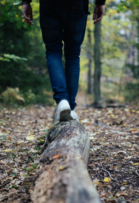 Hiker walking on a log along a forested trail.
