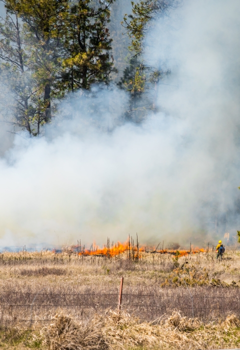 Fire Fighters manage a prescribed burn at Turnbull National Wildlife Refuge.
