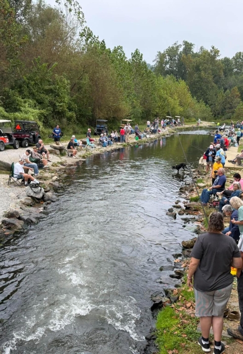 People fishing at stream