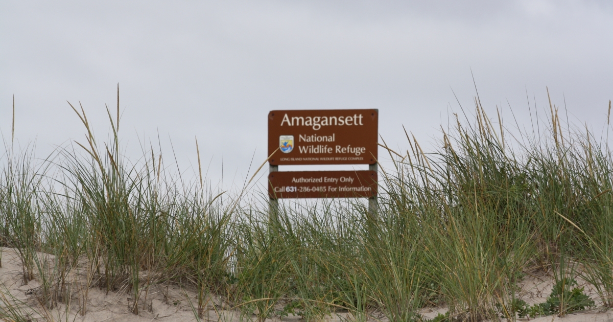 Amagansett National Wildlife Refuge U.S. Fish & Wildlife Service