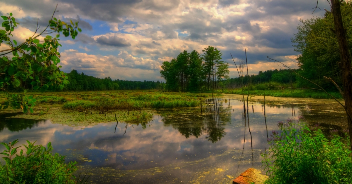 Assabet River National Wildlife Refuge | U.S. Fish & Wildlife Service