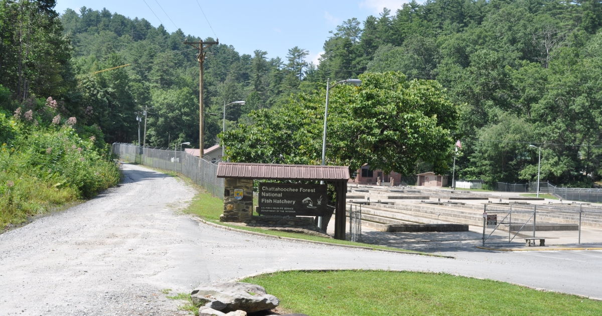 Chattahoochee Forest National Fish Hatchery
