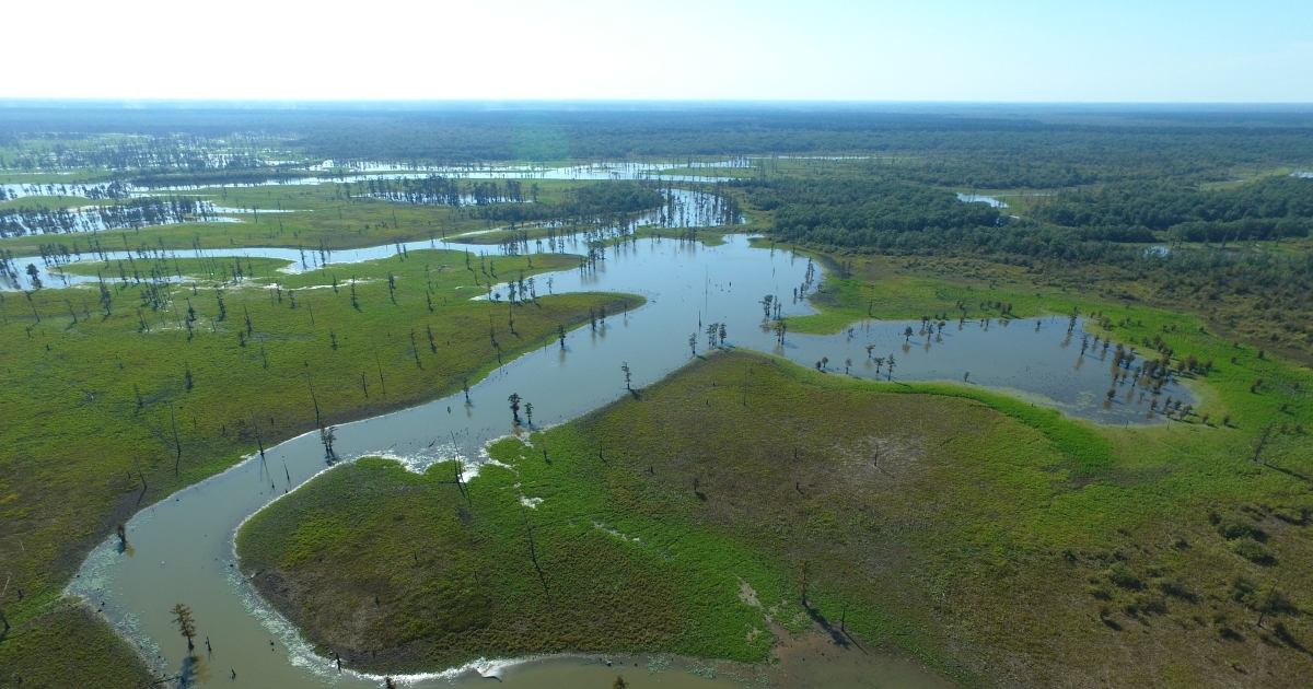 Felsenthal National Wildlife Refuge