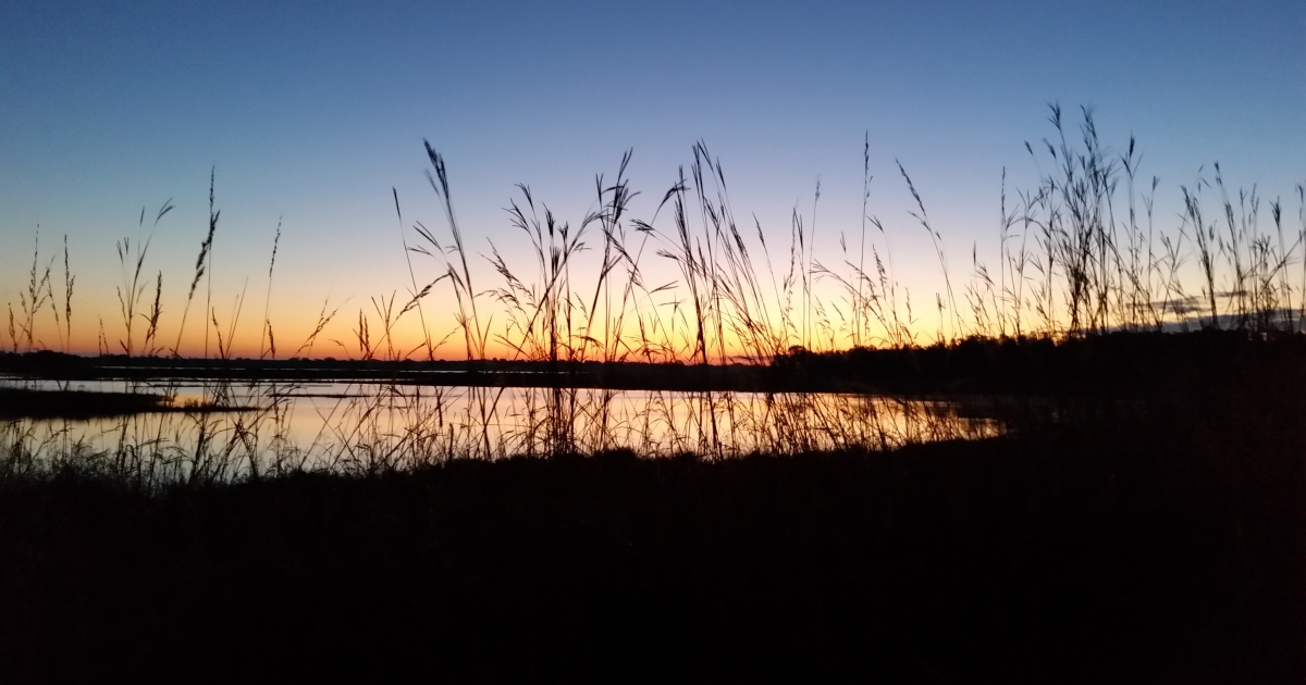 Necedah National Wildlife Refuge
