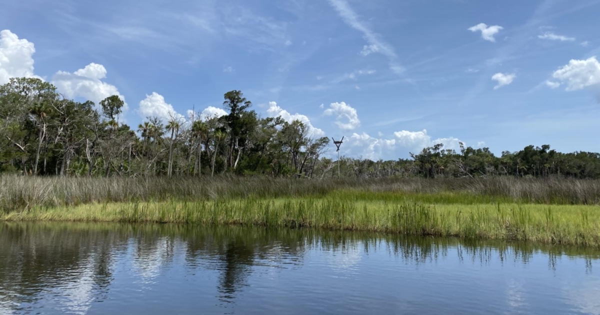 Chassahowitzka National Wildlife Refuge thumbnail
