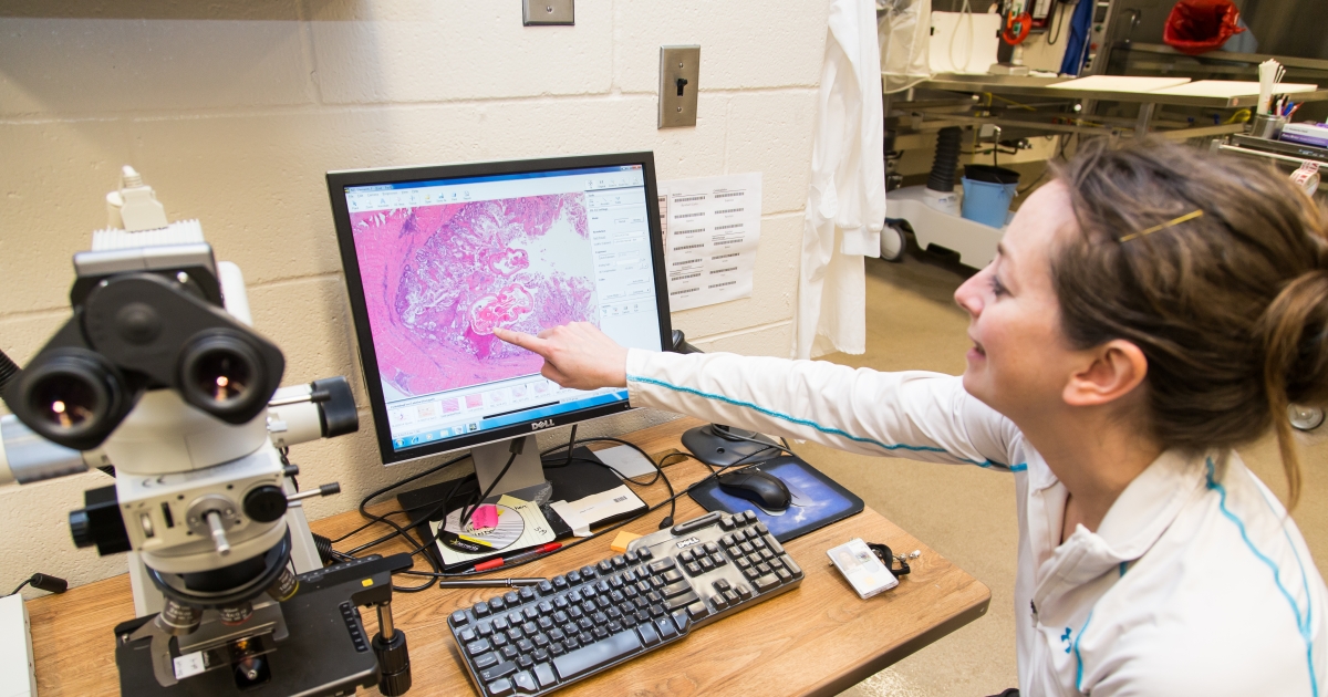 Fish System Forensics Information Quality | U.S. Fish & Wildlife Service