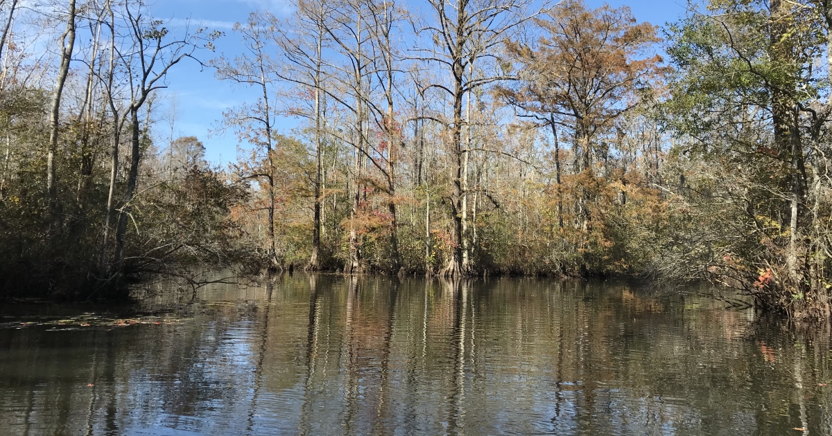 Roanoke River National Wildlife Refuge U.S. Fish & Wildlife Service