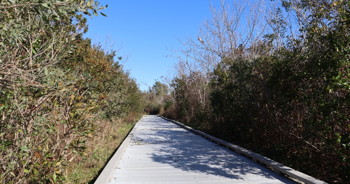 Accessible trails
