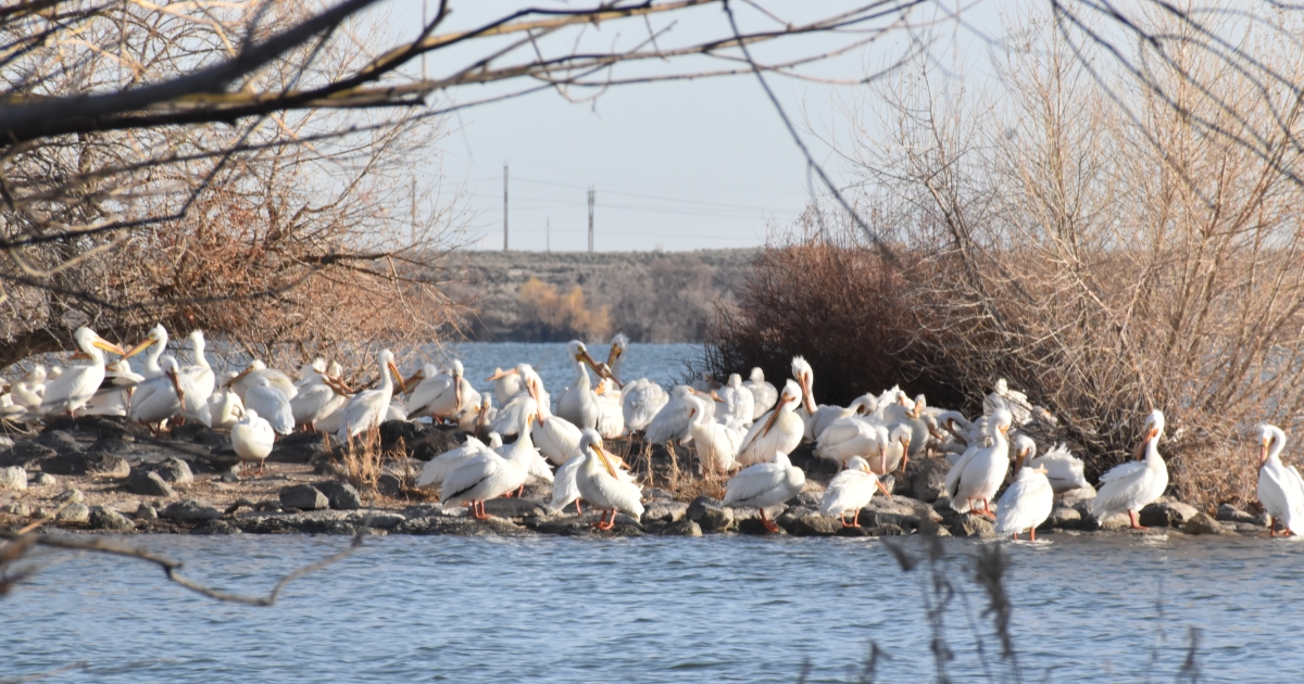 A Conservation Balancing Act | U.S. Fish & Wildlife Service