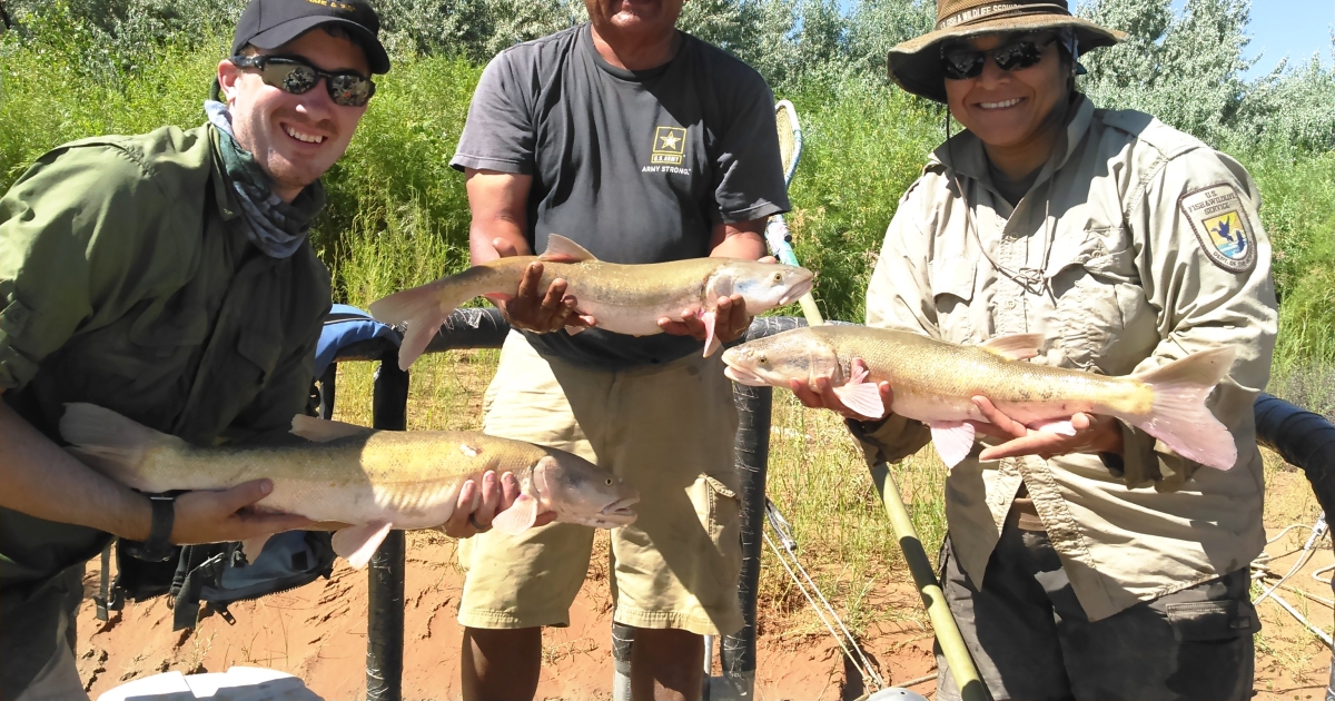 New Mexico Fish and Wildlife Conservation Office | U.S. Fish & Wildlife  Service