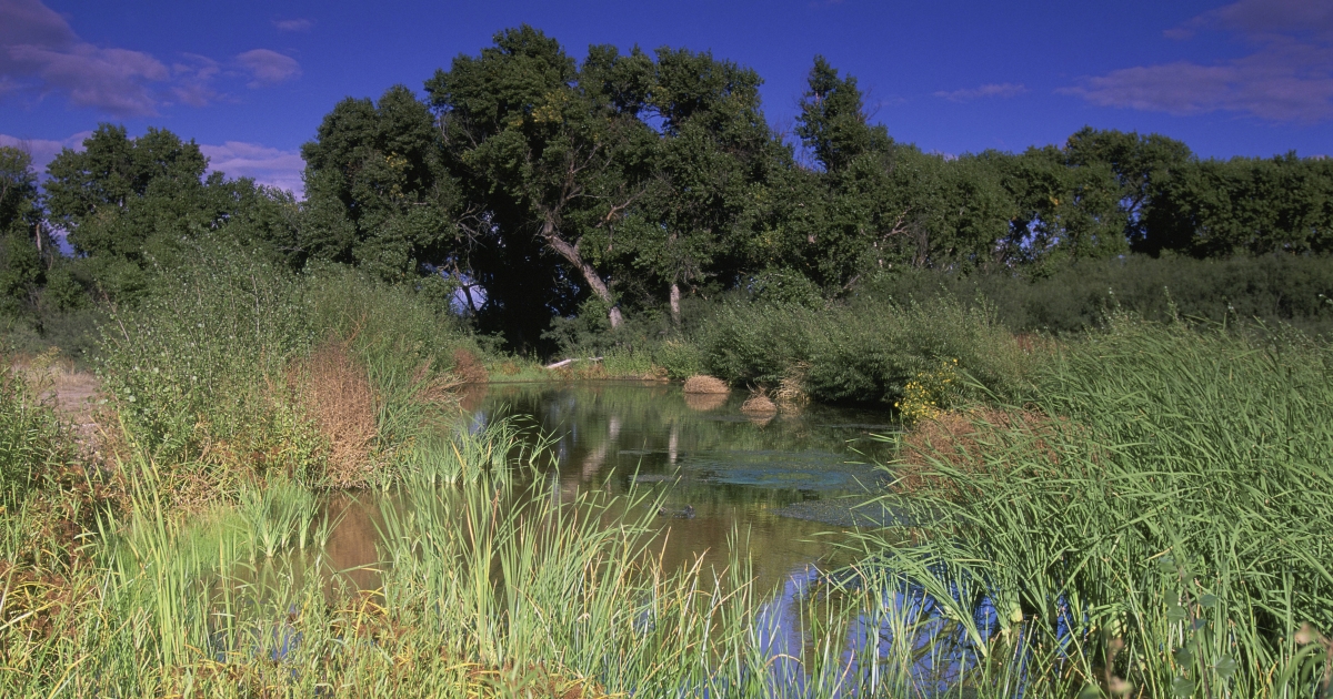 San Bernardino National Wildlife Refuge | U.S. Fish & Wildlife Service