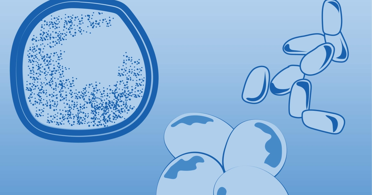 Archaea