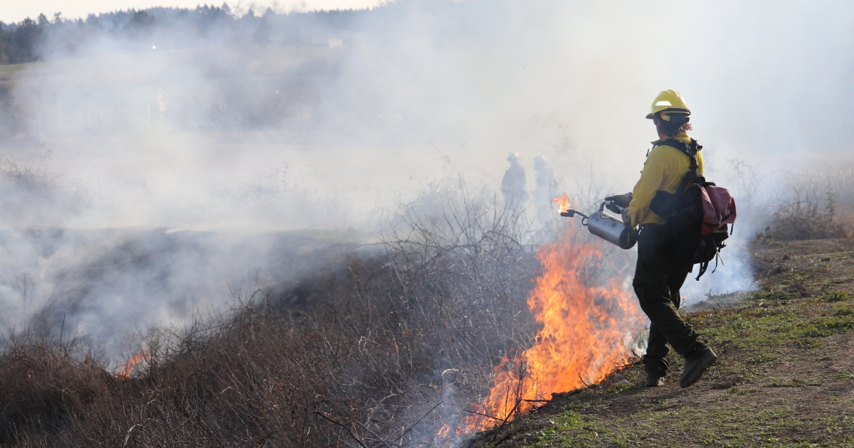 Working in Wildland Fire Management | U.S. Fish & Wildlife Service