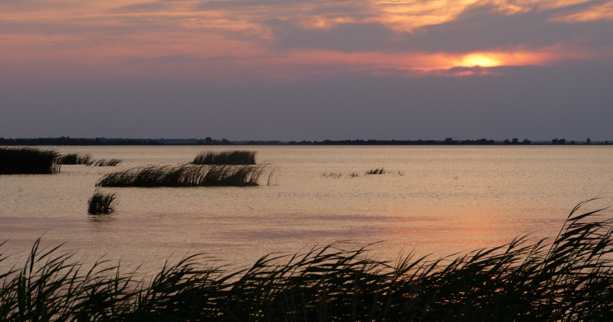 Seeking Public Comment on Draft Environmental Assessment for ...
