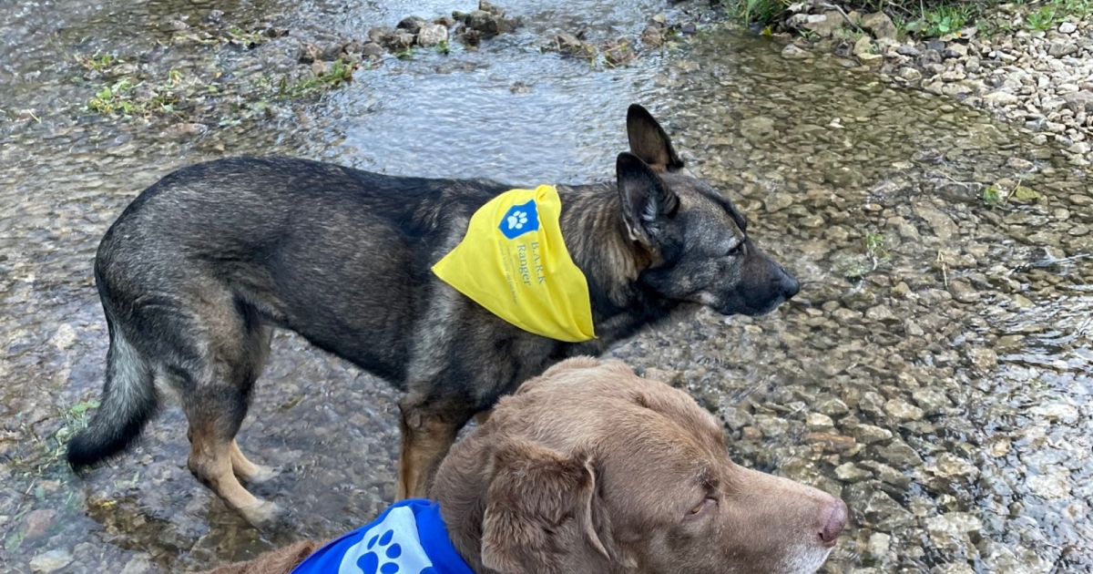 Calling All Dogs! Become a Bark Ranger! | U.S. Fish & Wildlife Service