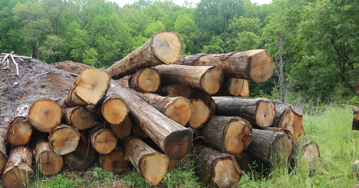 Federal Wildlife Officer Nabs Refuge Timber Thief | U.S. Fish ...
