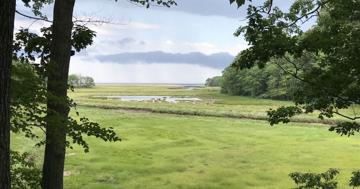 Salt Marsh Land Management Research & Development Program | U.S. Fish ...