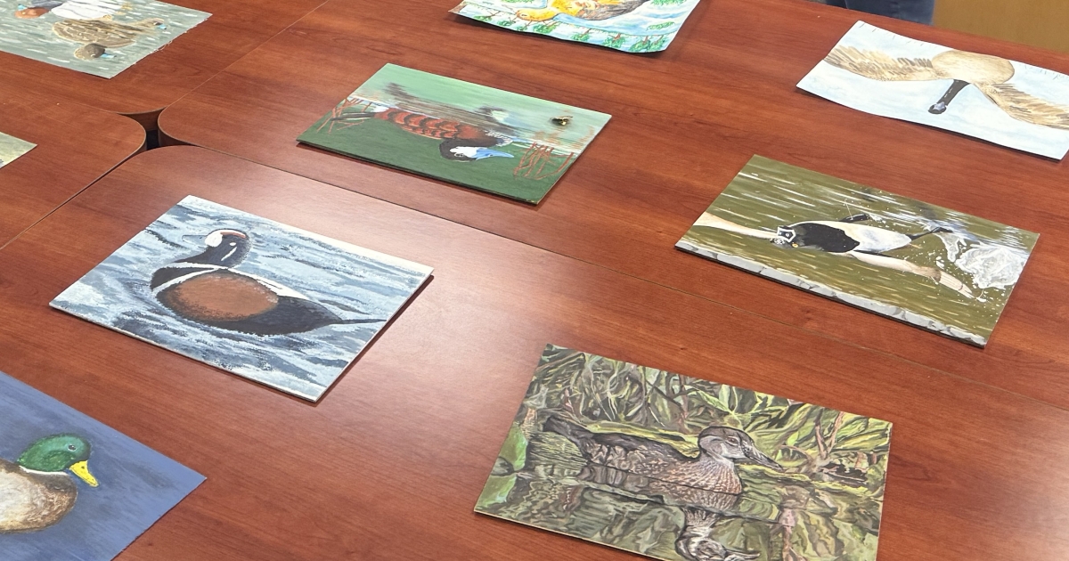 2026 Alaska Junior Duck Stamp Contest Winner | U.S. Fish & Wildlife Service
