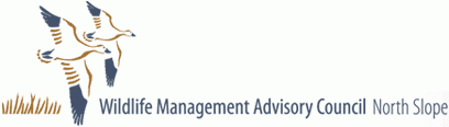 Wildlife Management Advisory Council North Slope Logo
