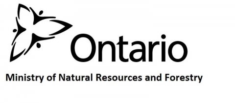 Ontario Ministry of Natural Resources and Forestry Logo