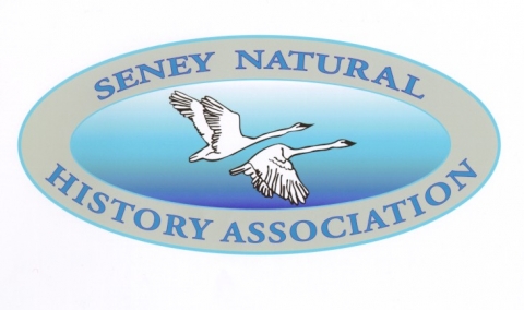 Seney Natural History Association Logo - Friends of Seney