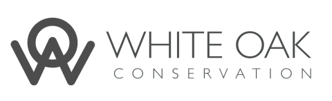 White Oak Conservation Logo