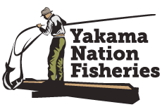 Logo of a man lifting a net with a fish onto a platform