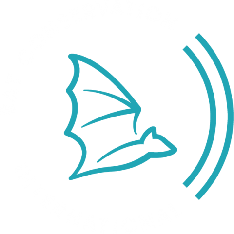 Illustration of bat with text reading "Bat Conservation International."