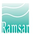 The word Ramsar on a multi blue square logo