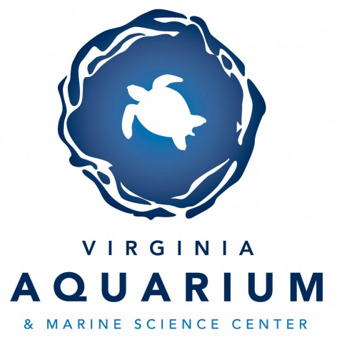 A circle that looks like swirling water surrounds a sea turtle above words Virginia Aquarium & Marine Science Center