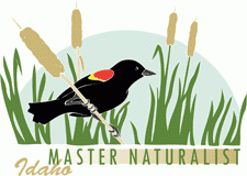 Logo for the Idaho Master Naturalist Program 