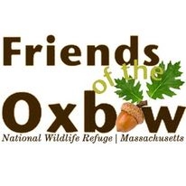 Friends of oxbow log with two green leaves and an acorn