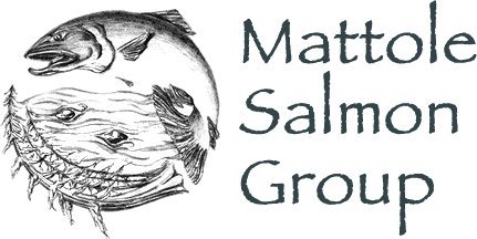Mattole Salmon Group Logo