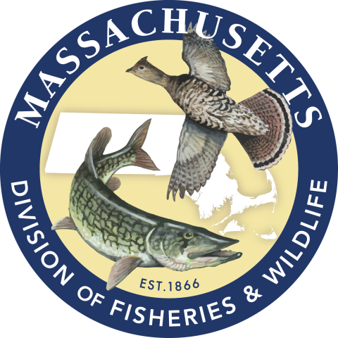 Rounded logo depicting a fish and bird. Text reads: "Massachusetts Division of Fisheries & Wildlife Est. 1866"