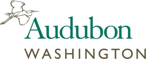Wordmark that reads "Audubon Washington." A small image of an egret flying is on the left.
