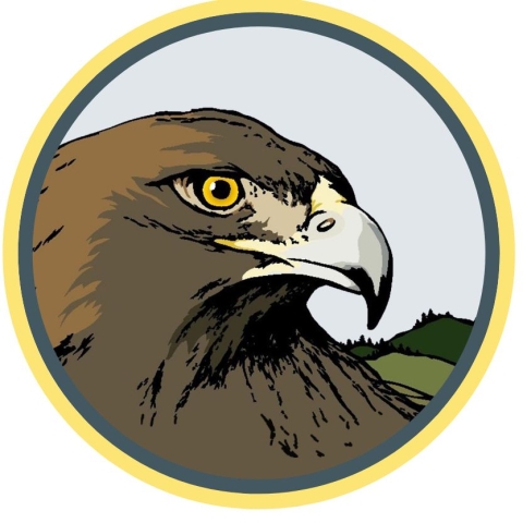Round logo featuring a golden eagle inside a green and yellow circle